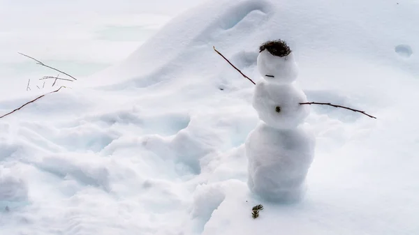 Piccolo Pupazzo Neve Con Ramoscelli Come Braccia Muschio Come Capelli — Foto Stock