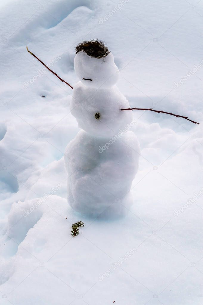 A small snowman with twigs as arms and moss as hair