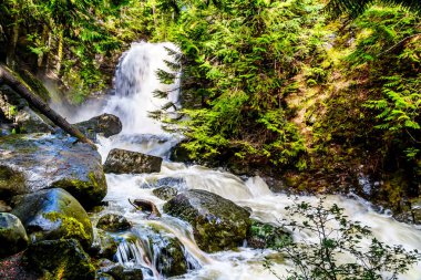 Whitecroft Falls, bir şelale Mcgillivray Creek ve Sun Peaks yolundan kısa bir yürüyüş kasaba Whitecroft British Columbia, Kanada Okanagen Shuswap bölgesinde yakın: