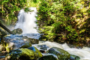 Whitecroft Falls, bir şelale Mcgillivray Creek ve Sun Peaks yolundan kısa bir yürüyüş kasaba Whitecroft British Columbia, Kanada Okanagen Shuswap bölgesinde yakın: