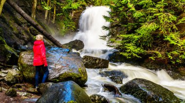 Kıdemli kadın British Columbia, Kanada Okanagen bölgenin Shuswap Highlands Whitecroft ve Sun Peaks kasabaları arasında Mcgillivray Creek Şelale izliyor