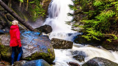 Kıdemli kadın British Columbia, Kanada Okanagen bölgenin Shuswap Highlands Whitecroft ve Sun Peaks kasabaları arasında Mcgillivray Creek Şelale izliyor