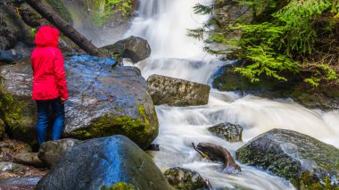 Kıdemli kadın British Columbia, Kanada Okanagen bölgenin Shuswap Highlands Whitecroft ve Sun Peaks kasabaları arasında Mcgillivray Creek Şelale izliyor