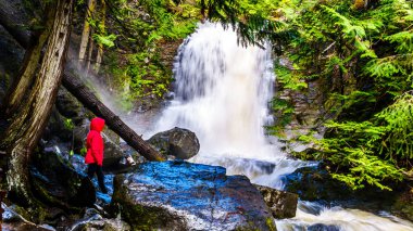 Kıdemli kadın British Columbia, Kanada Okanagen bölgenin Shuswap Highlands Whitecroft ve Sun Peaks kasabaları arasında Mcgillivray Creek Şelale izliyor