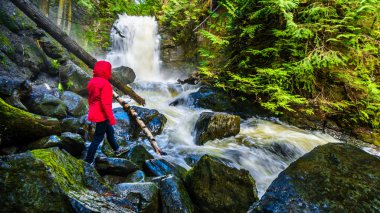 Kıdemli kadın British Columbia, Kanada Okanagen bölgenin Shuswap Highlands Whitecroft ve Sun Peaks kasabaları arasında Mcgillivray Creek Şelale izliyor