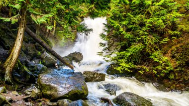 Whitecroft Falls, bir şelale Mcgillivray Creek ve Sun Peaks yolundan kısa bir yürüyüş kasaba Whitecroft British Columbia, Kanada Okanagen Shuswap bölgesinde yakın: