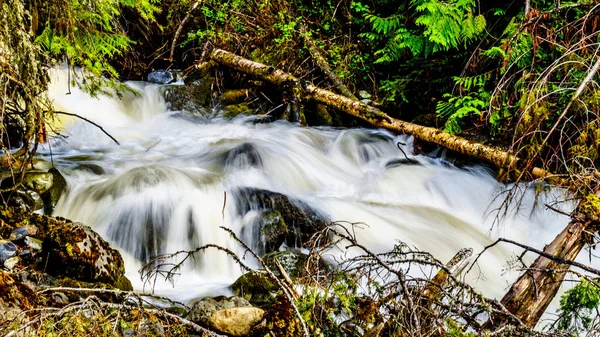 Woda Wiosennego Śniegu Topi Się Kłody Głazy Mcgillivray Creek Między — Zdjęcie stockowe