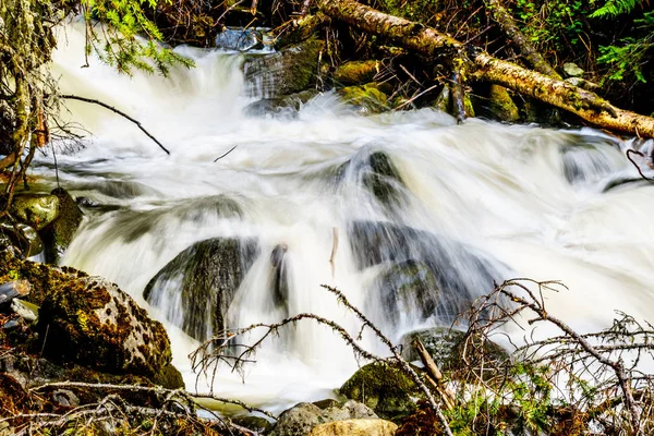 Woda Wiosennego Śniegu Topi Się Kłody Głazy Mcgillivray Creek Między — Zdjęcie stockowe