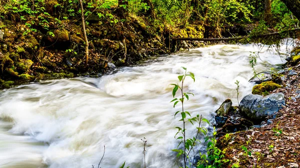 Woda Wiosennego Śniegu Topi Się Kłody Głazy Mcgillivray Creek Między — Zdjęcie stockowe