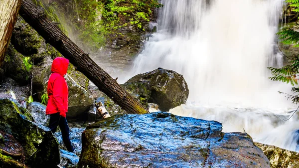 Senior woman watching the Waterfall on Mcgillivray Creek between the towns of Whitecroft and Sun Peaks in the Shuswap Highlands of the Okanagen region in British Columbia, Canada