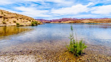 Nevada ve Arizona sınırında El Dorado Kanyonu 'nda Colorado Nehri Cottonwood havzası boyunca renkli ve engebeli dağlar ve ABD 'de Mead Ulusal rekreasyon alanı 'nın bir parçası