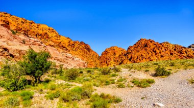 Las Vegas, Nevada, ABD yakınlarındaki Red Rock Canyon Ulusal Koruma alanı 'ndaki Ash Canyon Trail 'den kırmızı Sandstone Dağları 'nın görünümü