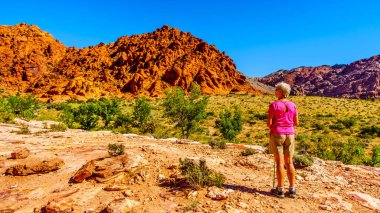 Yaşlı kadın Las Vegas, Nevada yakınlarındaki Red Rock Canyon Ulusal Koruma alanı bir zam sırasında renkli kayalar görünümü zevk