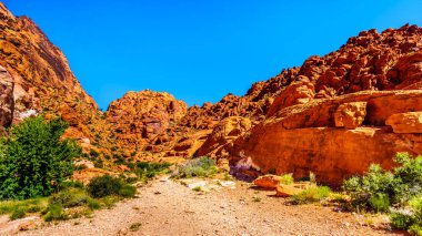 Las Vegas, Nevada, ABD yakınlarındaki Red Rock Canyon Ulusal Koruma alanı Guardian Angel Peak Trail üzerinde engebeli kırmızı Sandstone Rocks görünümü