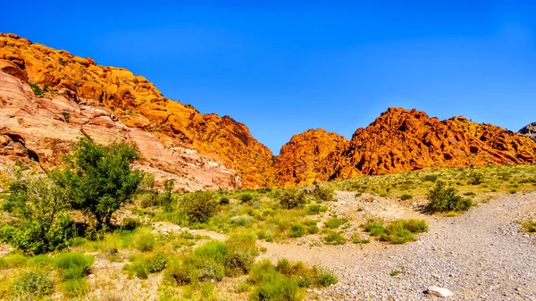 View of the Red Sandstone Mountains from the Ash Canyon Trail in Red Rock Canyon National Conservation Area near Las Vegas, Nevada, USA