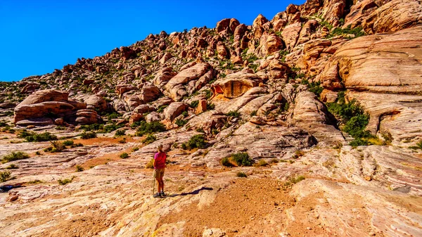 Senior Woman Enjoying View Colorful Rocks Hike Red Rock Canyon — Stock Photo, Image