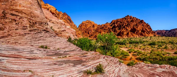 Panorama View of the rugged Red Sandstone Rocks on the Trail to the Guardian Angel Peak in Red Rock Canyon National Conservation Area near Las Vegas, Nevada, USA