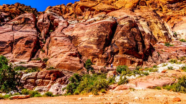 Repelling down the rugged Red Sandstone Rocks on the Trail to the Guardian Angel Peak in Red Rock Canyon National Conservation Area near Las Vegas, Nevada, USA