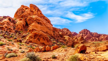 Nevada, ABD'deki Valley of Fire State Park'ta parlak kırmızı Aztek kumtaşı kaya oluşumları