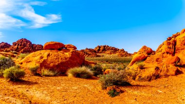 Nevada, ABD'deki Valley of Fire State Park'ta parlak kırmızı Aztek kumtaşı kaya oluşumları