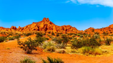 Nevada, ABD'deki Valley of Fire State Park'ta parlak kırmızı Aztek kumtaşı kaya oluşumları