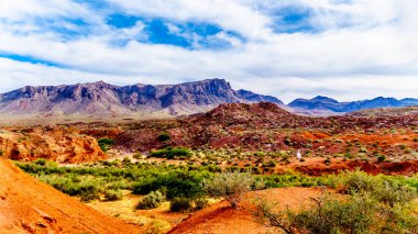 Nevada, ABD'deki Valley of Fire State Park'ta parlak kırmızı Aztek kumtaşı kaya oluşumları