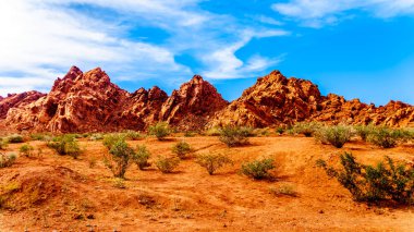 Nevada, ABD'deki Valley of Fire State Park'ta parlak kırmızı Aztek kumtaşı kaya oluşumları