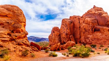 Seven Sisters, Nevada, ABD'deki Valley of Fire State Park'ta parlak kırmızı bir Aztek kumtaşı kaya oluşumu