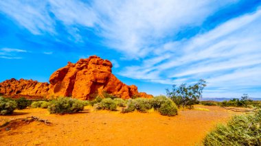 Seven Sisters, Nevada, ABD'deki Valley of Fire State Park'ta parlak kırmızı bir Aztek kumtaşı kaya oluşumu