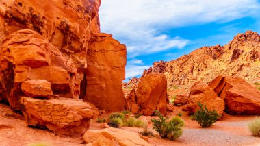 Seven Sisters, Nevada, ABD'deki Valley of Fire State Park'ta parlak kırmızı bir Aztek kumtaşı kaya oluşumu