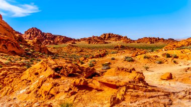 Nevada, ABD'deki Valley of Fire State Park'ta parlak kırmızı Aztek kumtaşı kaya oluşumları