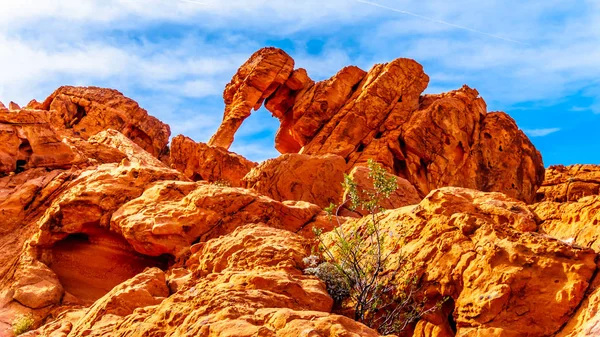 Elephant Rock One Many Bright Red Aztec Sandstone Rock Formations — Stock Photo, Image
