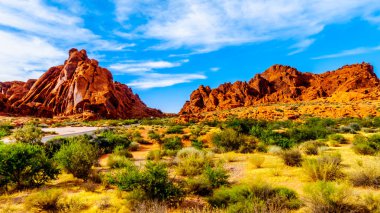 Nevada, ABD'deki Ateş Eyalet Parkı Vadisi'nde Fare'nin Tank Yolu'nda Mavi Gökyüzü'nün altındaki Kırmızı Aztek Kumtaşı Dağları