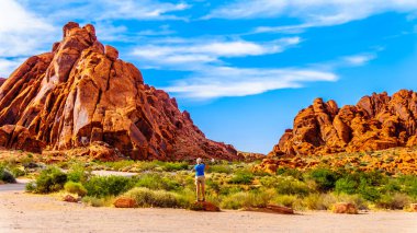 Nevada, ABD'deki Valley of Fire State Park'taki parlak kırmızı Aztek kumtaşı kaya oluşumlarından geçerken Mouse Tank Road'un fotoğrafını çeken kadın fotoğrafçı