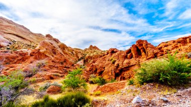 Nevada, ABD'deki Valley of Fire State Park'taki White Dome Trail boyunca renkli kırmızı, sarı ve beyaz kumtaşı kaya oluşumları