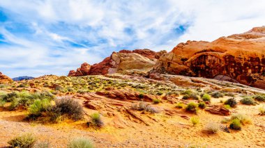 Nevada, ABD'deki Valley of Fire State Park'taki White Dome Trail boyunca renkli kırmızı, sarı ve beyaz kumtaşı kaya oluşumları