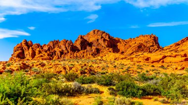 Nevada, ABD'deki Valley of Fire State Park'ta dev renkli kırmızı kumtaşı kaya oluşumu