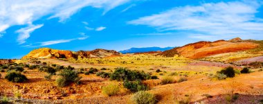 Nevada, ABD'deki Ateş Vadisi Devlet Parkı'ndaki Ateş Dalgası Patikası'nda parlak kırmızı Aztek kumtaşı kaya oluşumu