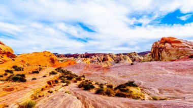 Nevada, ABD'deki Valley of Fire State Park'taki White Dome Trail boyunca renkli kırmızı, sarı ve beyaz kumtaşı kaya oluşumları