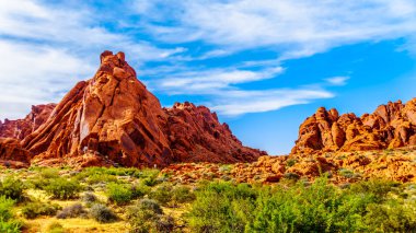 Nevada, ABD'deki Ateş Eyalet Parkı Vadisi'nde Fare'nin Tank Yolu'nda Mavi Gökyüzü'nün altındaki Kırmızı Aztek Kumtaşı Dağları