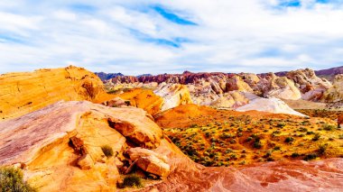 Nevada, ABD'deki Valley of Fire State Park'taki White Dome Trail boyunca renkli kırmızı, sarı ve beyaz kumtaşı kaya oluşumları