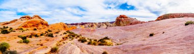 Nevada, ABD'deki Valley of Fire State Park'taki White Dome Trail boyunca renkli kırmızı, sarı ve beyaz kumtaşı kaya oluşumları