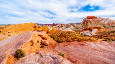 Nevada, ABD'deki Valley of Fire State Park'taki White Dome Trail boyunca renkli kırmızı, sarı ve beyaz kumtaşı kaya oluşumları