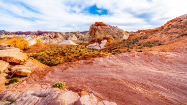Nevada, ABD'deki Valley of Fire State Park'taki White Dome Trail boyunca renkli kırmızı, sarı ve beyaz kumtaşı kaya oluşumları