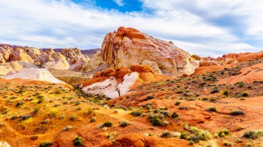 Nevada, ABD'deki Valley of Fire State Park'taki White Dome Trail boyunca renkli kırmızı, sarı ve beyaz kumtaşı kaya oluşumları