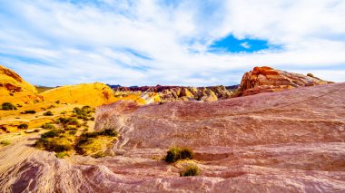 Nevada, ABD'deki Valley of Fire State Park'taki White Dome Trail boyunca renkli kırmızı, sarı ve beyaz kumtaşı kaya oluşumları