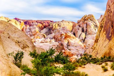 Nevada, ABD'deki Valley of Fire State Park'taki White Dome Trail boyunca renkli kırmızı, sarı ve beyaz kumtaşı kaya oluşumları