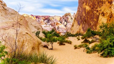 Nevada, ABD'deki Valley of Fire State Park'taki White Dome Trail boyunca renkli kırmızı, sarı ve beyaz kumtaşı kaya oluşumları