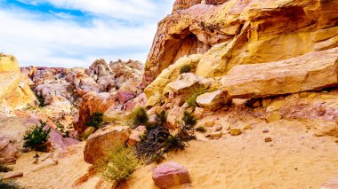 Nevada, ABD'deki Valley of Fire State Park'taki White Dome Trail boyunca renkli kırmızı, sarı ve beyaz kumtaşı kaya oluşumları