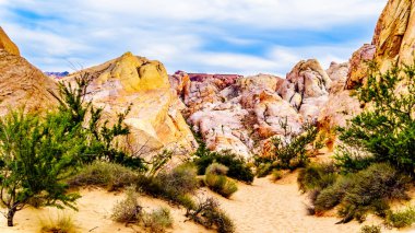 Nevada, ABD'deki Valley of Fire State Park'taki White Dome Trail boyunca renkli kırmızı, sarı ve beyaz kumtaşı kaya oluşumları